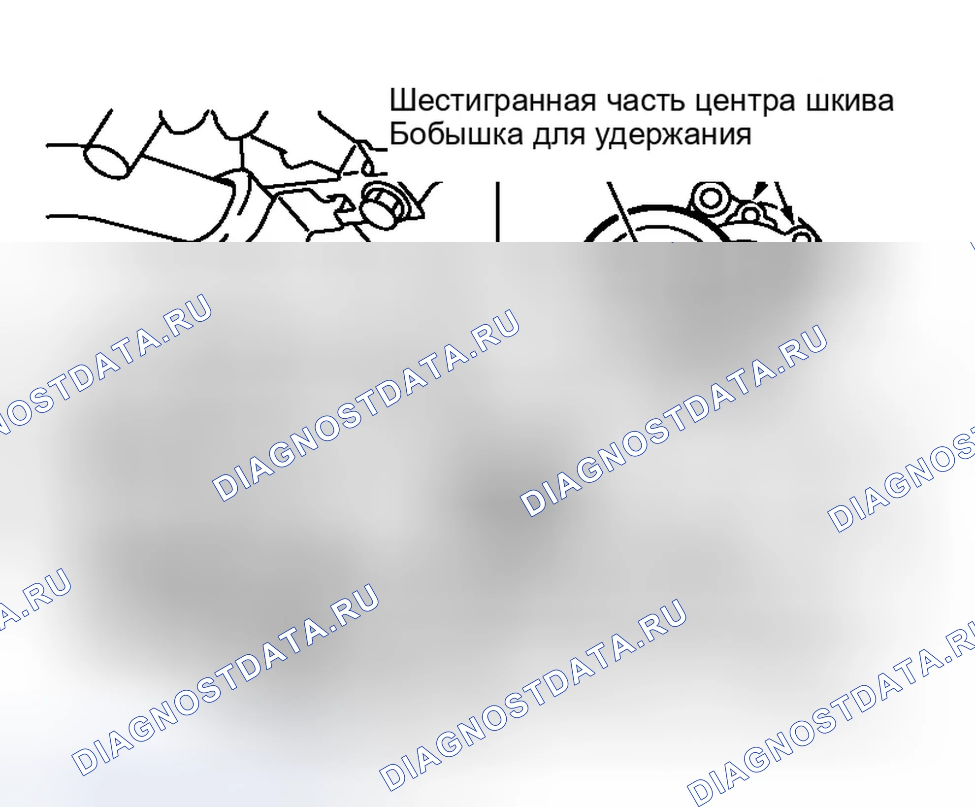 Рис. 3: Генератор переменного тока, водяной насос и ремень компрессора переменного тока. Infiniti M45 III