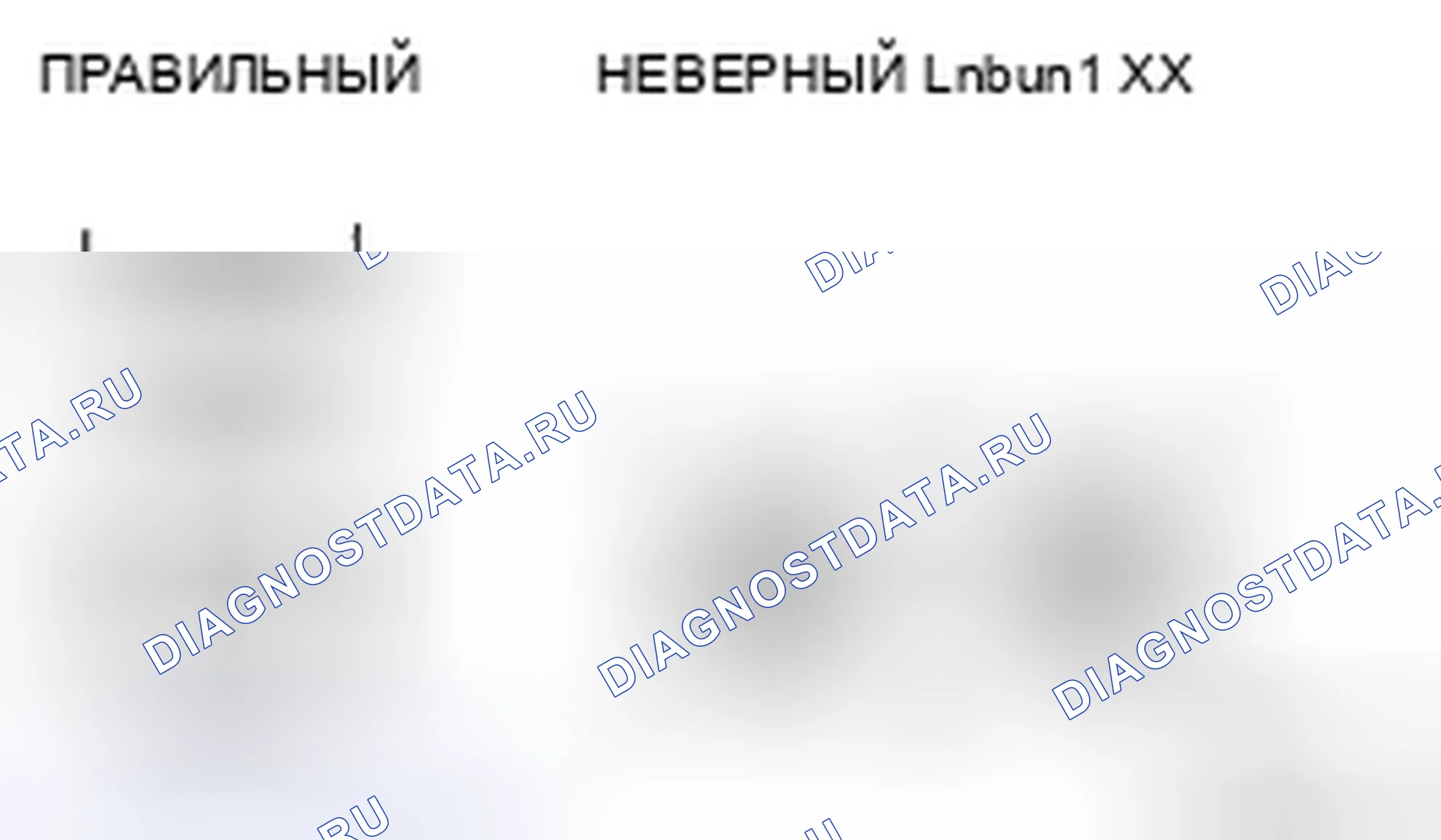 Рис. 4. Haval H5 II