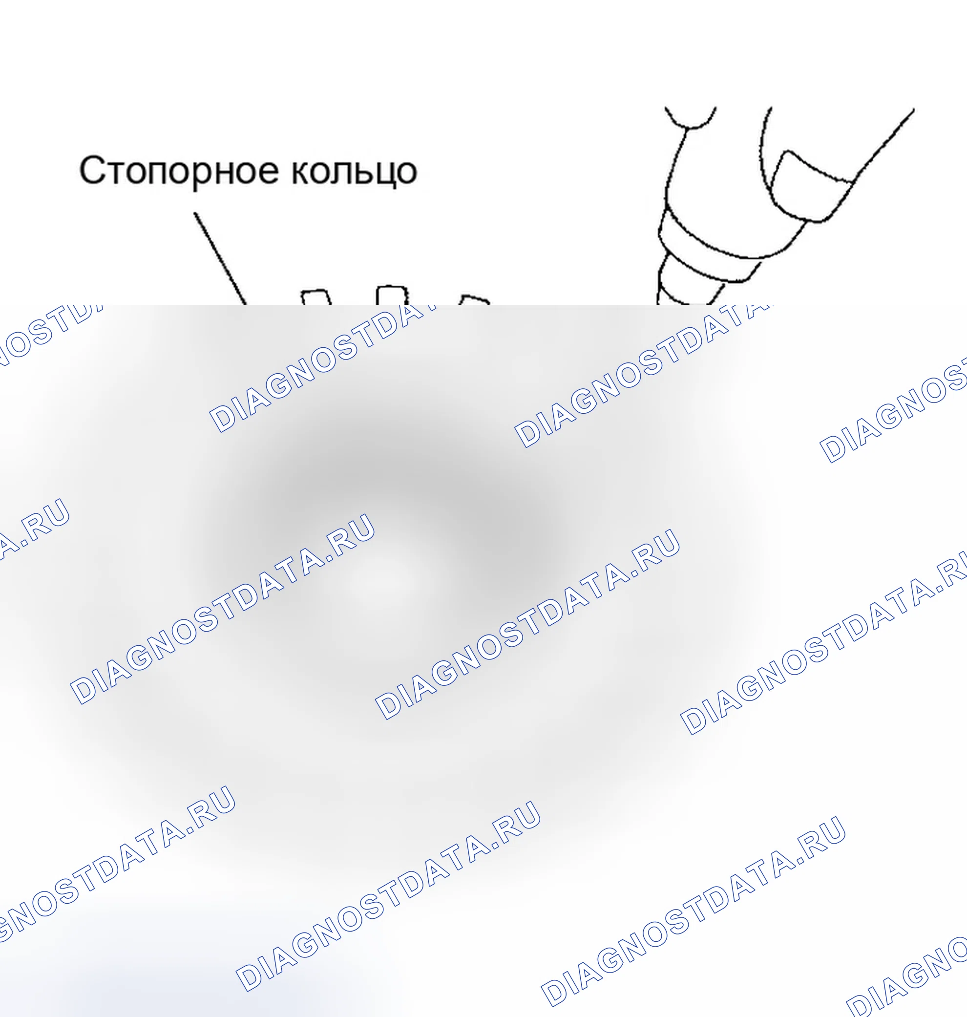 Рис. 553. Infiniti QX56 I